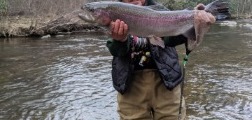 NC TROPHY TROUT
