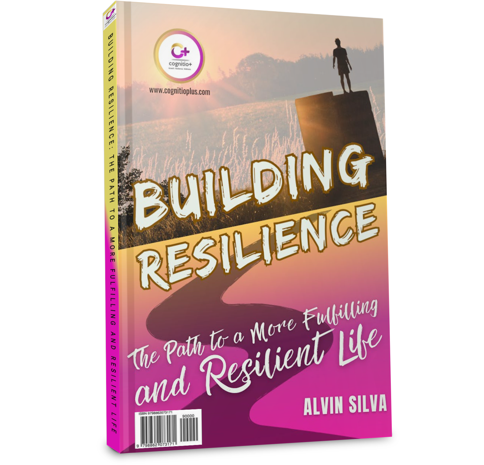 BUILDING RESILIENCE sample picture