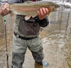 NC TROPHY TROUT