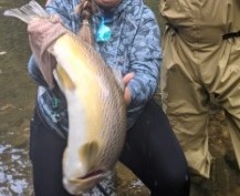 NC TROPHY TROUT