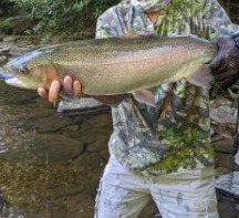 NC TROPHY TROUT