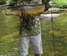 NC TROPHY TROUT
