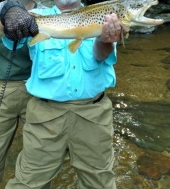 NC TROPHY TROUT
