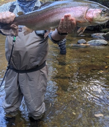 NC TROPHY TROUT