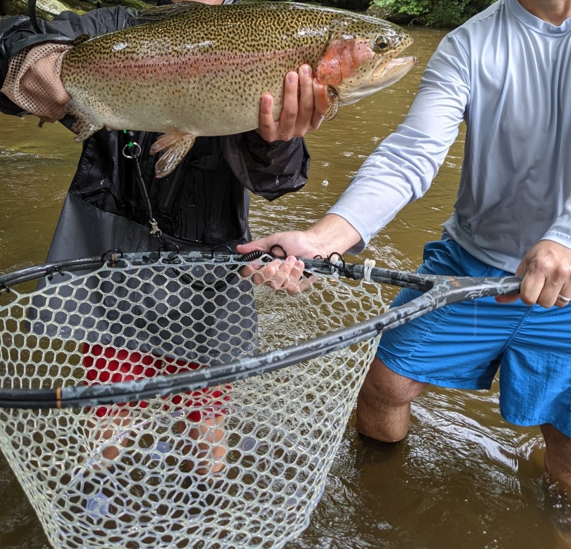 NC TROPHY TROUT