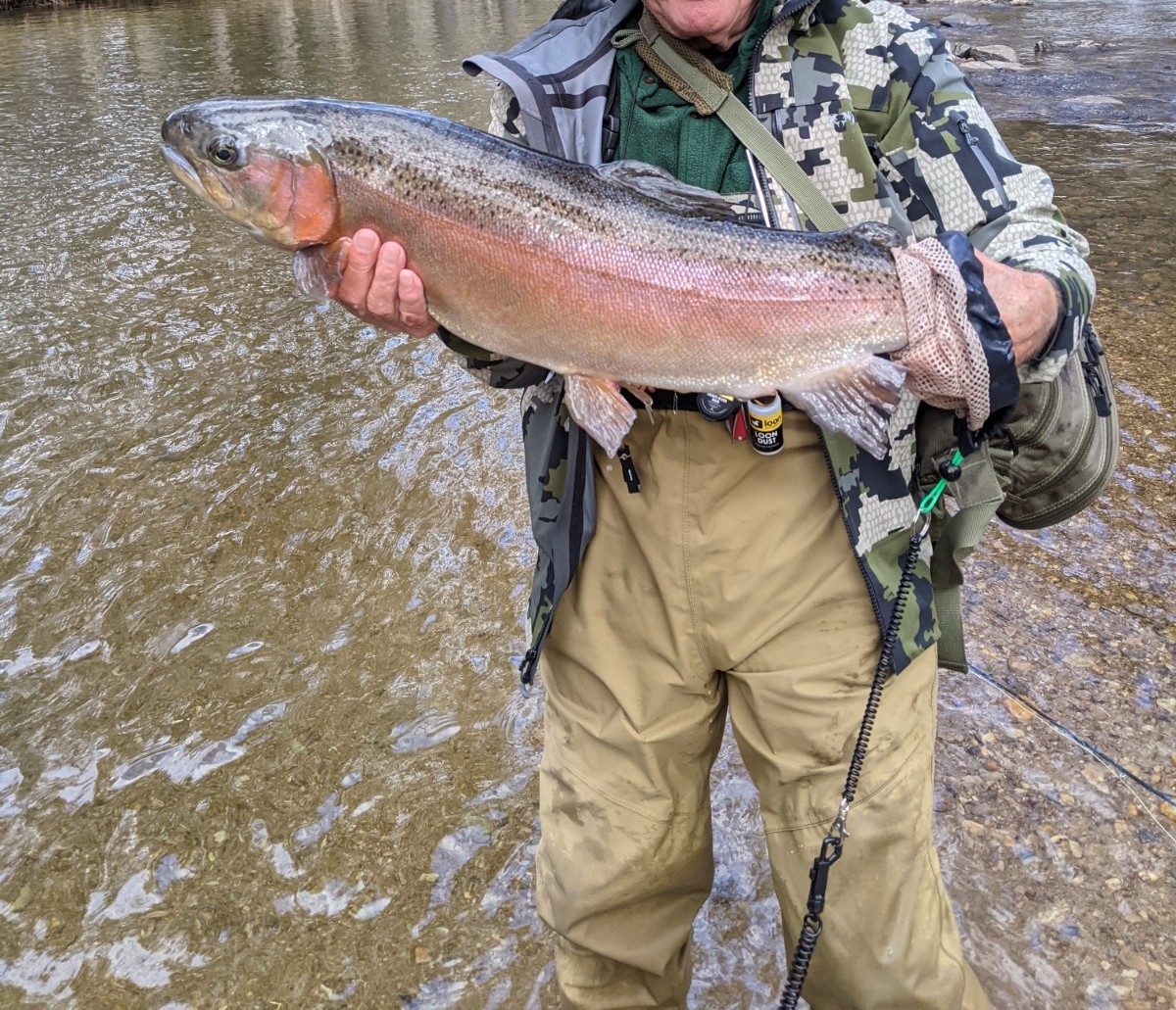 NC TROPHY TROUT