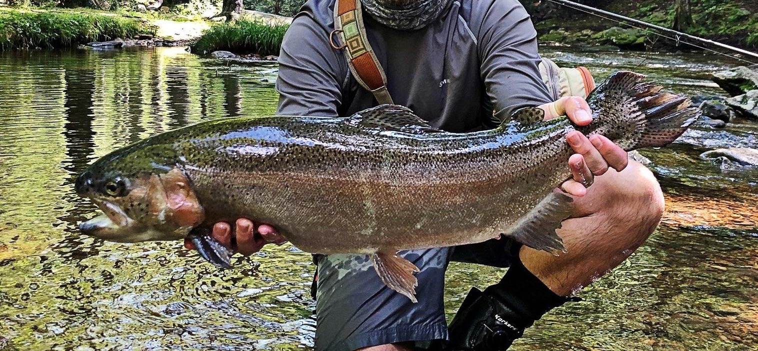 NC TROPHY TROUT