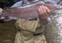 NC TROPHY TROUT