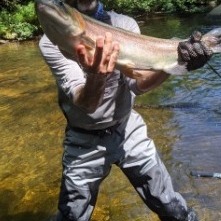 NC TROPHY TROUT