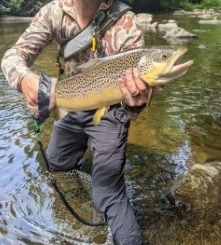 NC TROPHY TROUT