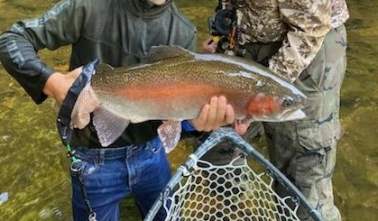 NC TROPHY TROUT