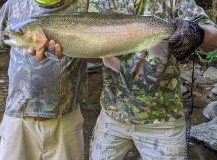 NC TROPHY TROUT