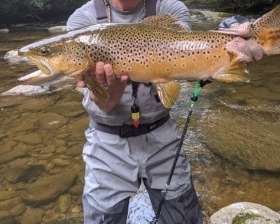 NC TROPHY TROUT