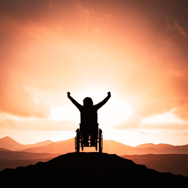 wheelchair, disabled, sunlight
