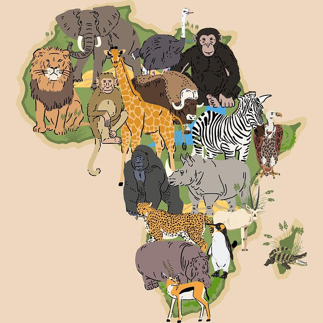 africa, safari, wilderness