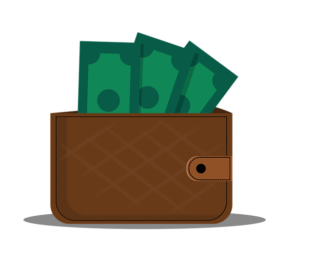 wallet, money, items
